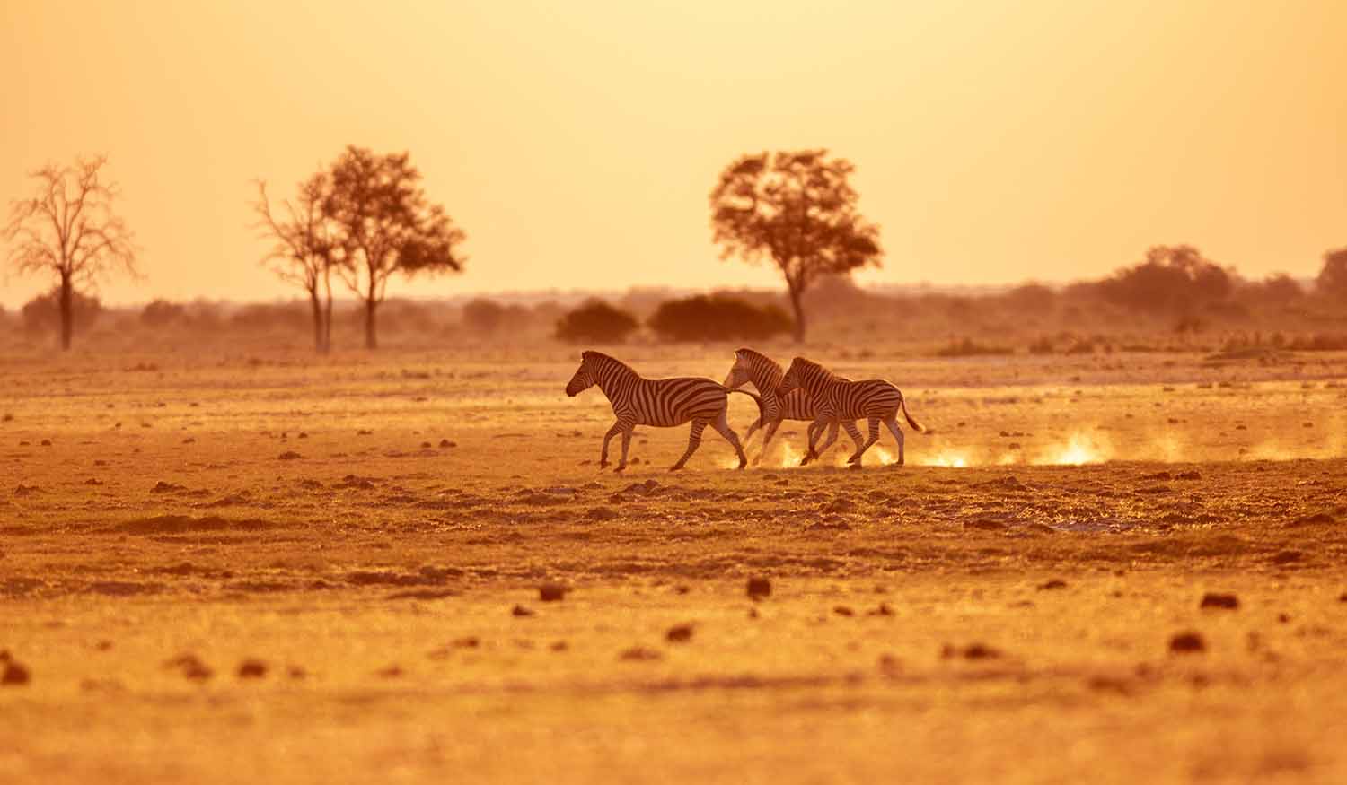 reisebericht namibia