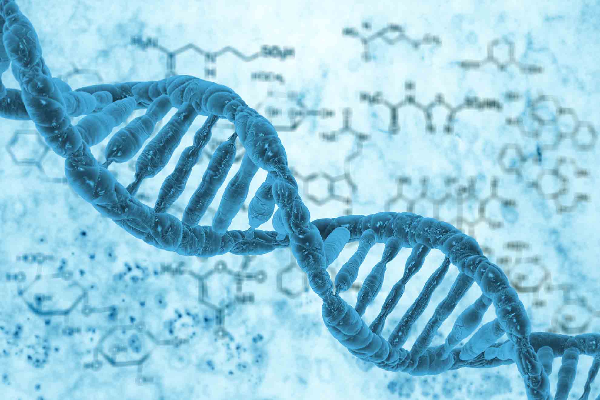 dna strang Qualitätskriterien von medizinisch relevanten Pro- und Synbiotika nach WHO-, WGO-, FDA-, und OePROM-Kriterien