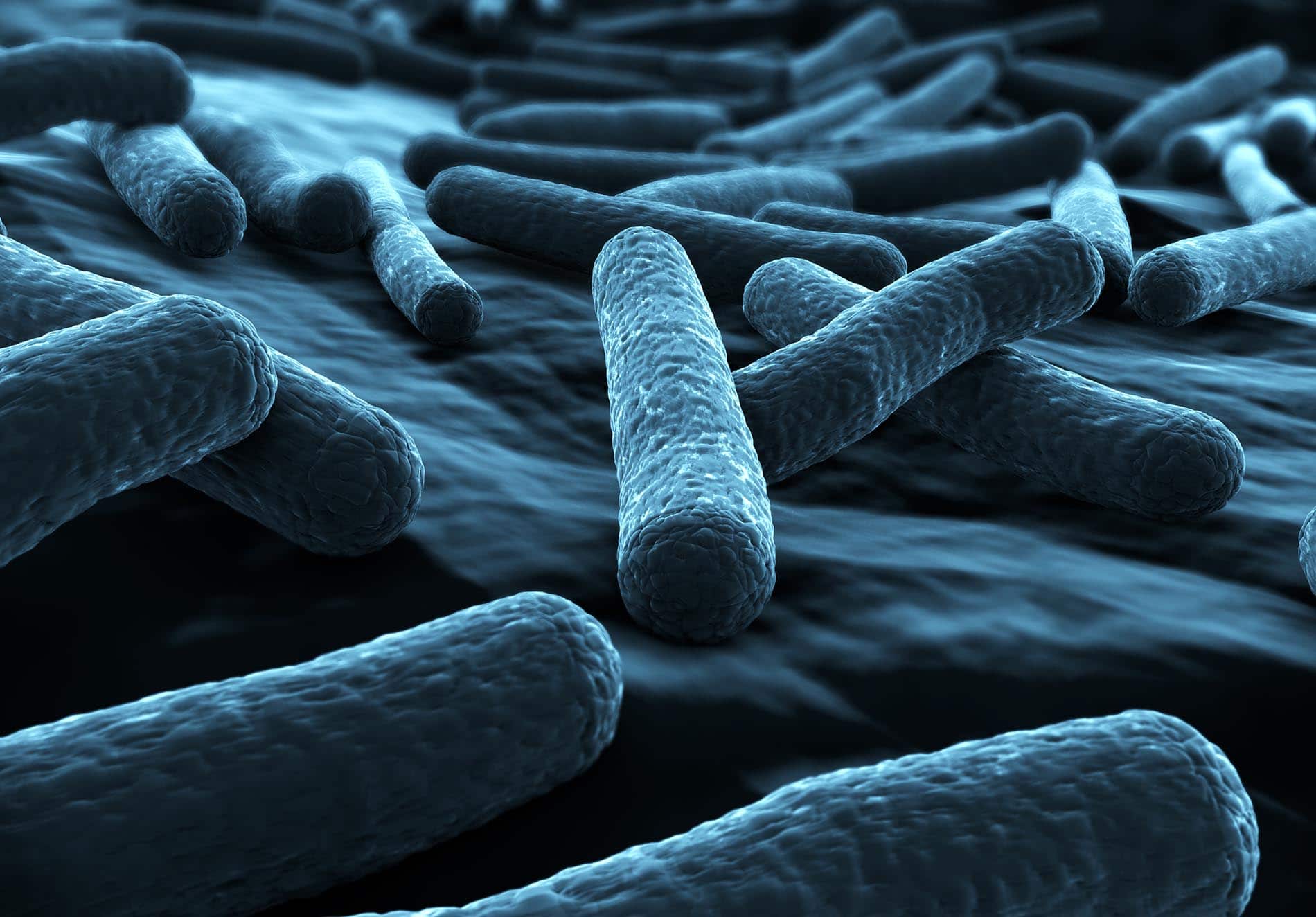 Bakterien vom Stamm E. coli sind sehr häufig für Durchfälle im Urlaub verantwortlich.