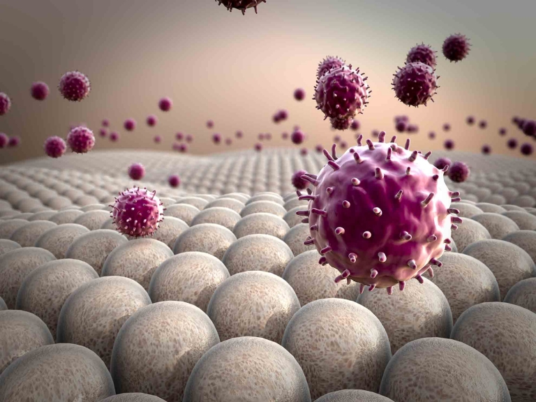 Im menschlichen Immunsystem spielen Leukozyten, besser bekannt als die weißen Blutkörperchen, eine wesentliche Rolle bei der Erstabwehr von krankmachenden Keimen.