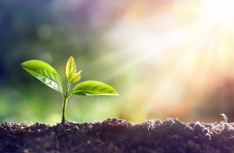 probios Optimale Darmgesundheit – nämlich durch die Besiedelung des Darms mit den "richtigen" Bakterien – bildet eine ideale Basis für ein vitales Leben.
