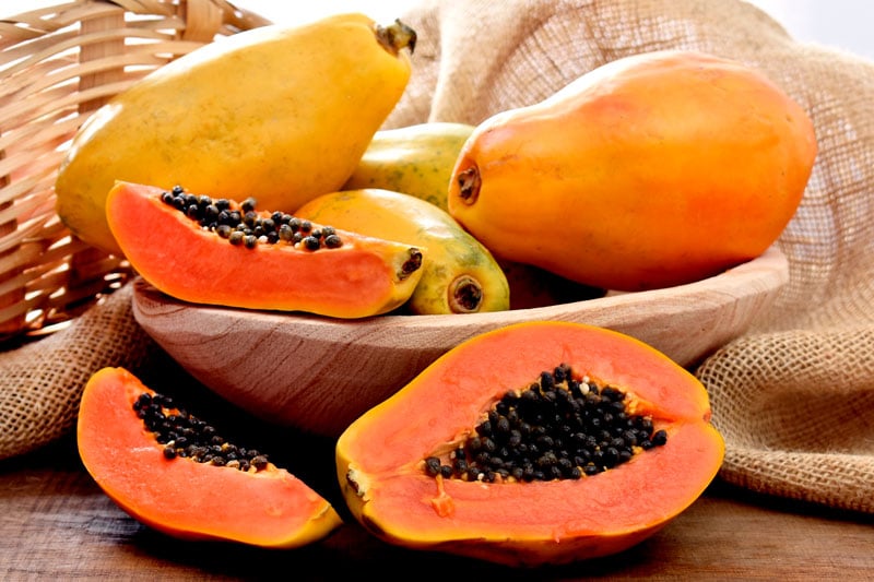 Für eine besonders hohe Qualität der Frucht und einen entsprechenden Gehalt wichtiger Inhaltsstoffe ist ein entsprechender Anbau der Papaya notwendig.