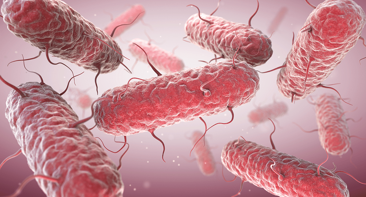 Parkinson und Darmbakterien