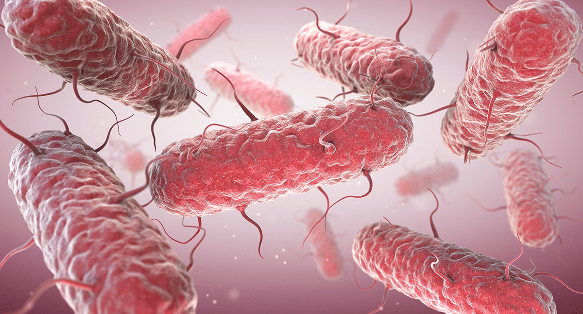 Parkinson und Darmbakterien