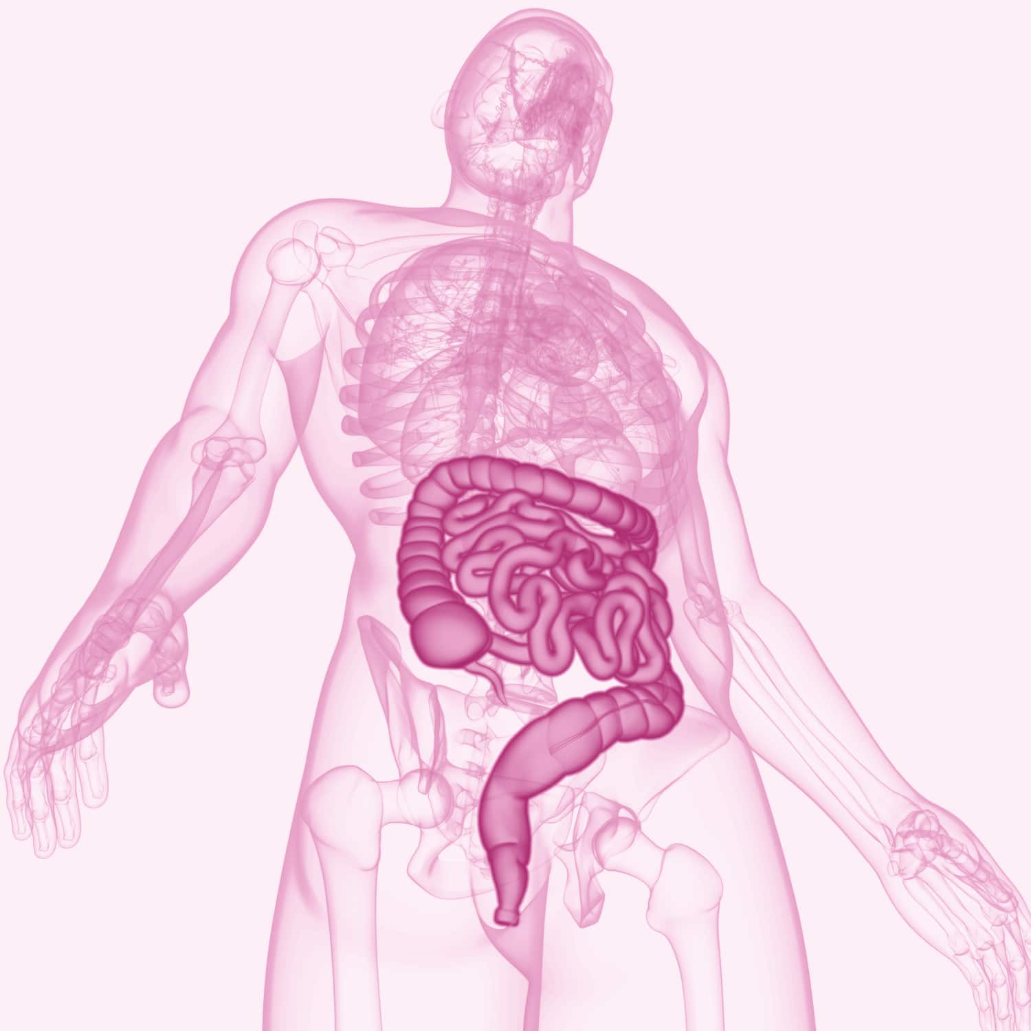 6 Dinge, die unsere Darmgesundheit beeinflussen