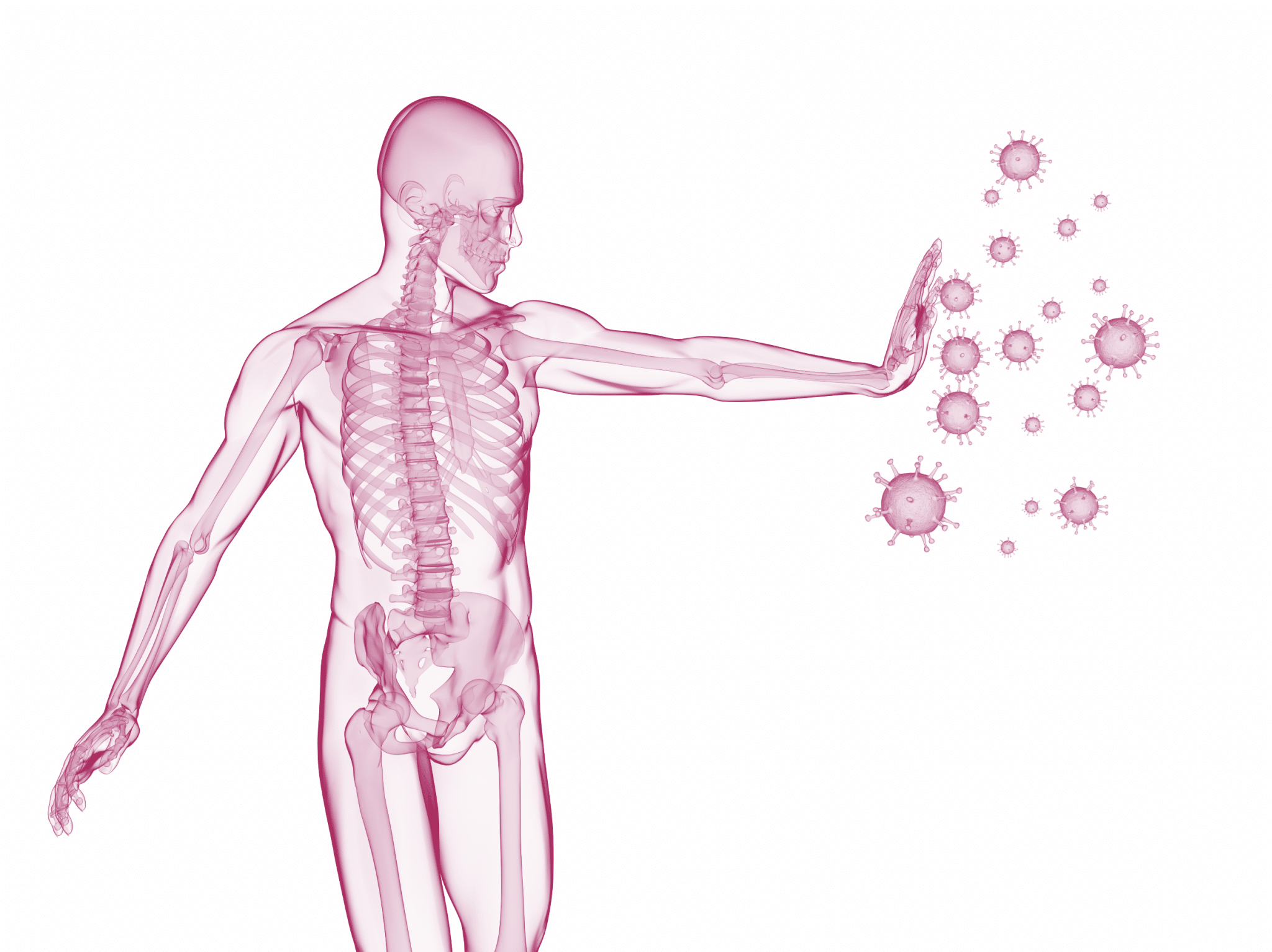 Der Darm ist sehr wichtig für ein gut funktionierendes Immunsystem. Bauen Sie Ihre Darmflora für ein starkes Immunsytem auf!