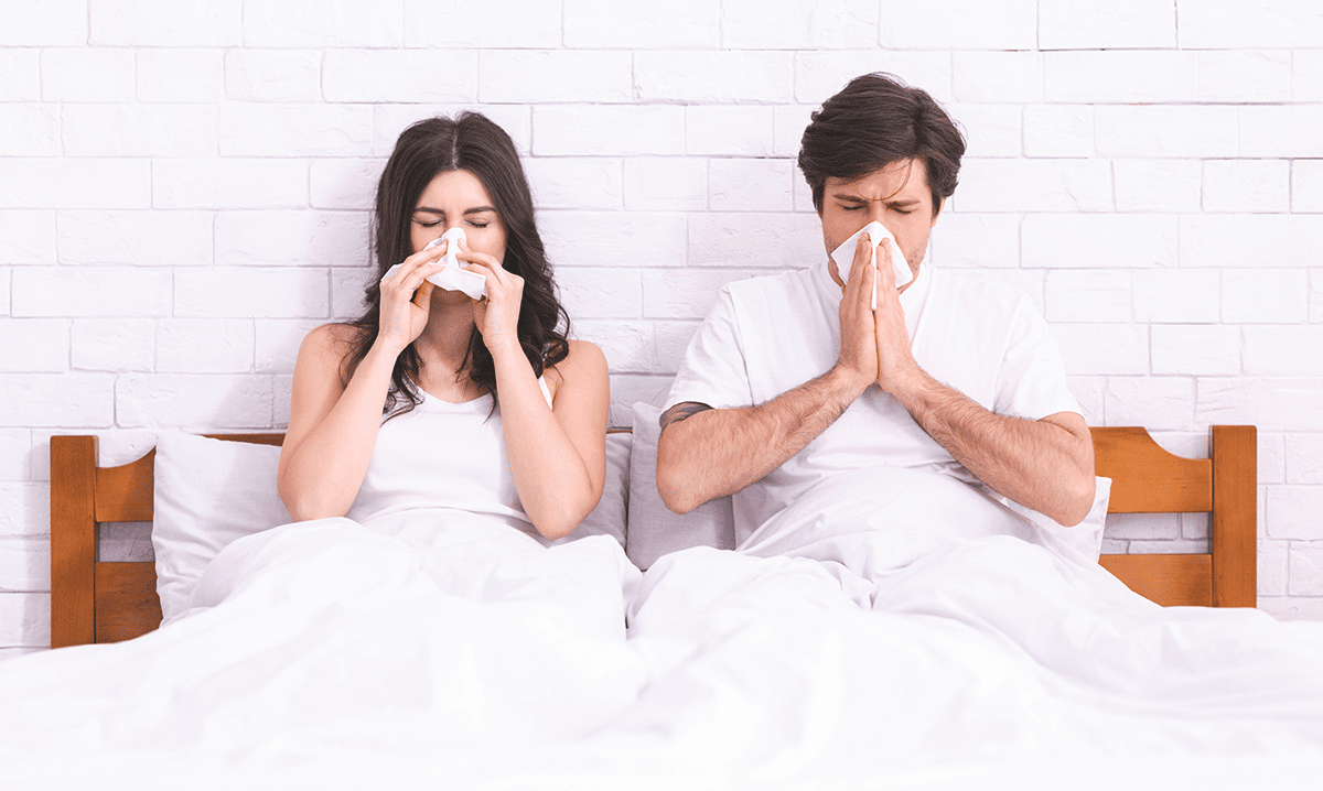 Hausstaubmilbenallergie: Ist das der Grund für Ihre Allergien und Symptome?