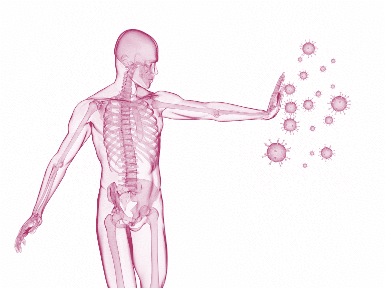 Der Darm ist sehr wichtig für ein gut funktionierendes Immunsystem. Bauen Sie Ihre Darmflora für ein starkes Immunsytem auf!