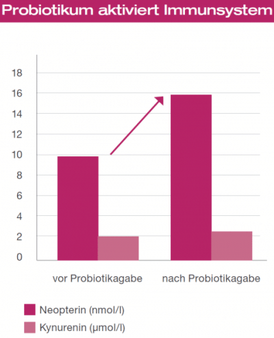 Nach 28-tägiger Probiotikagabe konnte bei den Studienteilnehmern eine gesteigerte Aktivität des Immunsystems (gegen die Entzündungen im Körper) festgestellt werden.