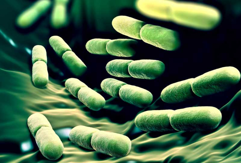 Antibiotika und Probiotika im Wandel der Zeit