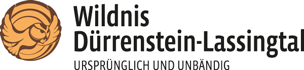 Logo der Wildnis Dürrenstein-Lassingtal