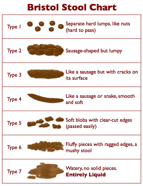 bristol-stool-chart-1 bristol-stool-chart-1