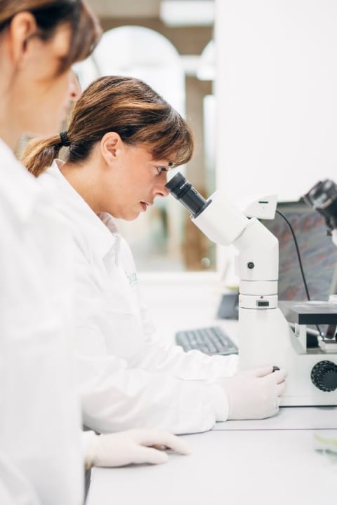frau-labor-mikroskop frauen im labor mikroskopieren
